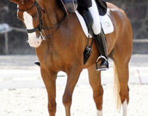 Caroline Roffman and Pie win the 2012 U.S. Intermediaire I Championship :: Photo © Sue Stickle