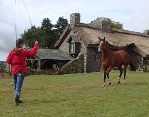Zelie Bullen training War Horse Abraham