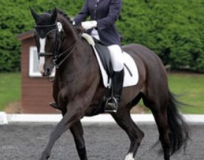 British junior Daisy Jackson on Nicola Jourdain's former Grand Prix horse Saint Swithens