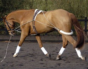 The Pessoa Training Aid
