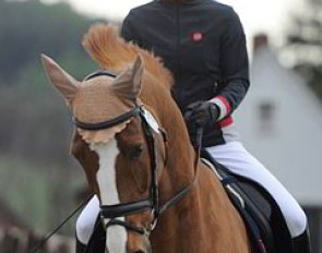 Laura always schools Mistral in a snaffle, even at shows