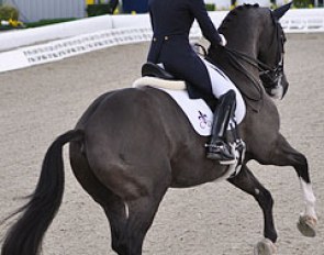 Charlotte Dujardin on Valegro