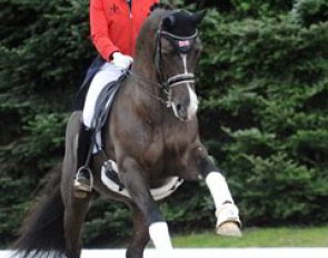 Charlotte Dujardin warming up Valegro