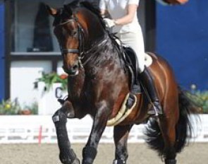 Victoria Max-Theurer competed Eichendorff but brought along Augustin for training at the 2012 CDI Hagen :: Photo © Barbara Schnell