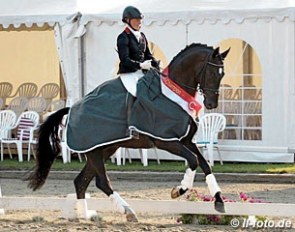 Wibke Stommel and Silbermond at the 2012 Westfalian Regional Championships :: Photo © ll-foto.de