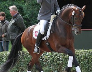 Mike Habermann on Don Darius :: Photo © LL-foto.de