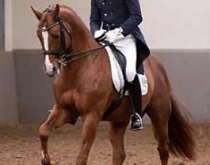 Michel Toussaint and Workington at the 2012 CDN Hasselt :: Photo © Sarah Janssens