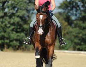 Vivien schooling Cipollini in a snaffle