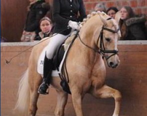 Anouk Wiemers and White Gold B placed second at the 2012 Pony Talent Search in Hünxe :: Photo © Barbara Schnell