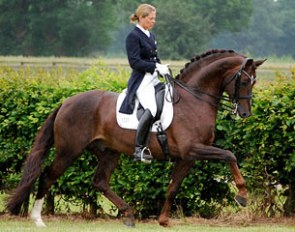 Kathrin Meyer zu Strohen warming up Rassolini at the 2012 CDN Isernhagen :: Photo © Anne