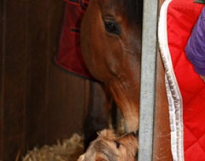 Higgins and De Vito greet each other