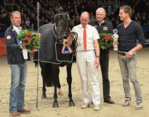 Etoine, champion of the 2012 KWPN Stallion Licensing