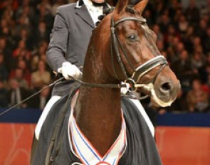 Severo Jurado Lopez and Chippendale win the 2012 KWPN Stallion Competition at L-level :: Photo courtesy www.kwpn.nl