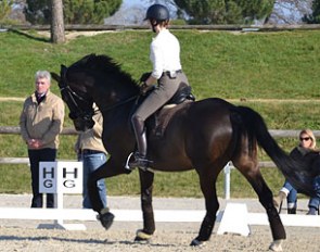 Hans Heinrich Meyer zu Strohen at the Trainers' Seminar in Lamotte-Beuvron