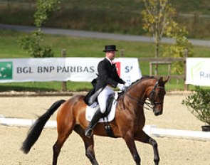 Steffen Ascherl on Highlight at their CDI Debut