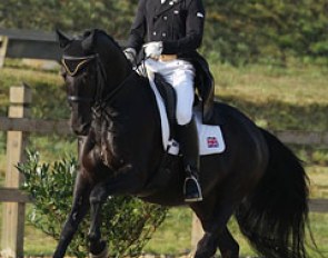 Daniel Busbridge on the Oldenburg bred Regal Destiny