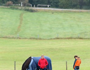 A bit of down time for the competition horses