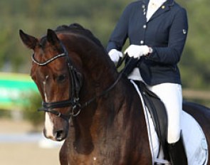 Alexandra Hidien on Sir Hawk