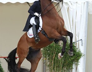 Jill Huybregts' Zamacho was scared to go into the windy arena in Leudelange