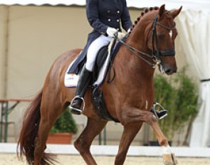 Lynne Maas and Zamora at the 2012 CDI Leudelange :: Photo © Astrid Appels