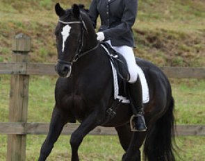 Czech Michaela Pavlisova on Diamant