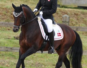 Danish Cecilie Poulsen on Bjerregaards Mozart