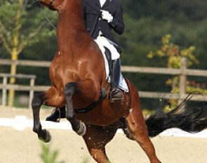 Sascha Schulz' Oldenburg bred Frimeur (by First Junior) was terrified of the score board