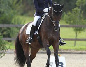 Fie Skarsoe on Fabrix Miss Esandri
