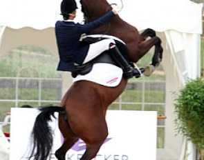 This pony was a definite no-go in the team test at the CDI Leudelange