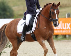 Floor van Manen on the very talented Divano du Bois