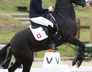 Quite a lot of ponies spooked for the scoreboards on the long side. Wettstein and Nice Blue Eyes were unfortunately rung out