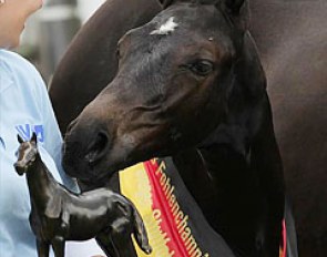 The champion filly by Quintender