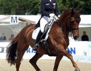 Anabel Balkenhol on Winci