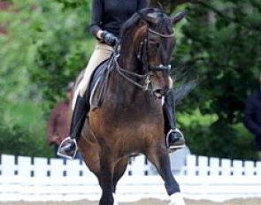 Marion Engelen schooling Diego