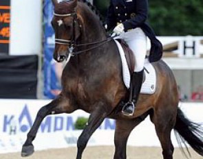 Tinne Vilhelmson on Don Auriello