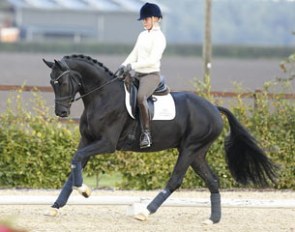 Flake (by Florencio x Metternich x Bold Indian xx)