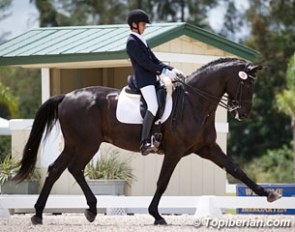 The Florida based Spanish junior rider Juan Pablo Matute Guimon on Don Diego. This Hanoverian has been trained to FEI level in Spain by Jose Antonio Garcia Mena before Juan took over the ride :: Photo © Top Iberian
