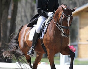 Lars Petersen on his second GP horse, Marcia Pepper's 14-year old DWB mare Mariett (by Come Back II x Sidney) :: Photo © Sharon Packer
