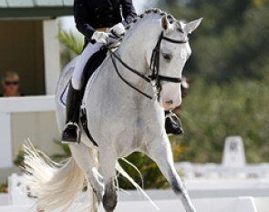 Danish born American Janne Rumbough on her home bred PRE Junior (by Gaucho III)