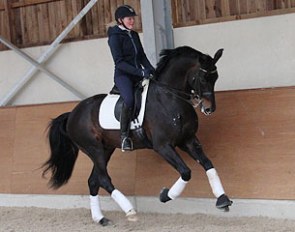 Fie Skarsoe training Statesman at home in Luxembourg