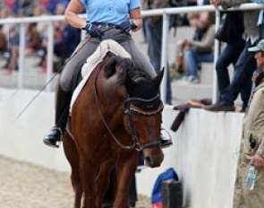 Uta Gräf finishes schooling her small tour star Damon Jerome (by Damon Hill)