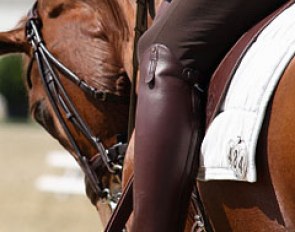 Horse with a spur oedema on his side