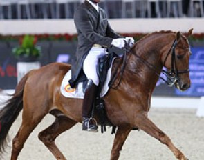 Patrick van der Meer on his talented Karolus van Wittenstein (by Krack C)