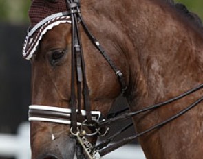 Elisabeth Hjelm's Chock