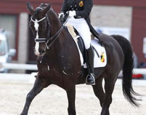Kirsten Adriaenssens on Roycroft