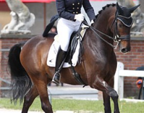 Saidja Brison and Moliere at the 2012 CDIO-PJYR Moorsele :: Photo © Astrid Appels