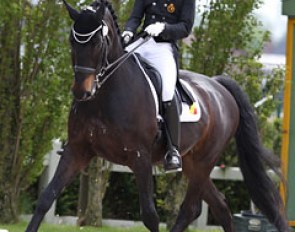Robin at the 2012 CDIO-J Moorsele :: Photo © Astrid Appels