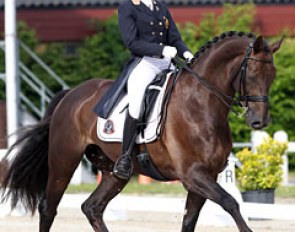 Eline Borrey de Coninck on Don Warohn (by Dormello)