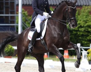 Stephanie Kooijman on Winston