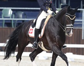 Sonja Ramseier on Escudo II (by Espri x Glucksgriff)